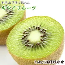 ZD6340_【先行予約】和歌山の下津で採れた キウイフルーツ 3.6kg (玉数おまかせ・秀品)