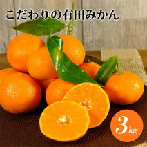 ZT6218_【先行予約】こだわりの 有田みかん 3kg 藤秀園