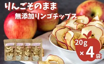りんごそのまんま！無添加のりんごチップス（乾燥りんご）20g×3袋
