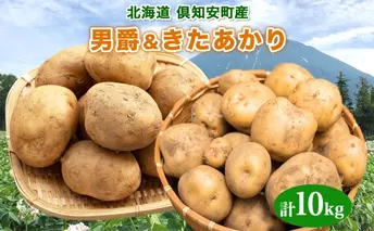 北海道産 じゃがいも 2種セット 男爵 きたあかり 約10kg じゃが芋 ジャガイモ 芋 いも ポテト 食べ比べ 新鮮 野菜 直送 農作物 お取り寄せ 送料無料 縁樹 北海道 倶知安町 根菜 