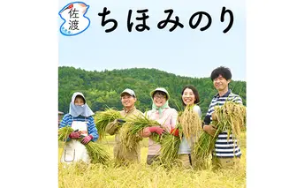 令和3年産 佐渡産ちほみのり（大野山麗）特別栽培米 白米5kg