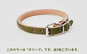 [No.5258-7043]0097good collar 5号［犬 猫 首輪］オリーブ