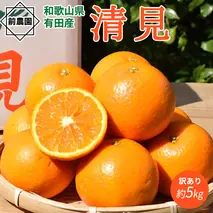 BL6158n_【産地直送】【2026年先行予約】和歌山県産 清見 【訳あり・家庭用】 5kg (S～3Lサイズ混合)