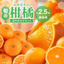 AB7057n_（先行予約）（旬の美味）（みかん名産地和歌山有田）有田育ちの ご家庭用 旬の柑橘 詰め合わせセット 2.5kg（訳あり）