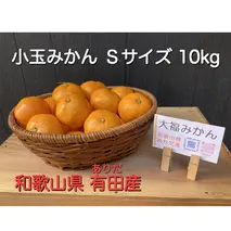 BT6002_和歌山県 有田産 小玉 みかん Sサイズ 10kg