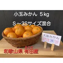 BT6003_和歌山県 有田産 小玉 みかん S～3Sサイズ混合 5kg