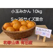 BT6004_和歌山県 有田産 小玉 みかん S～３Sサイズ混合 10kg