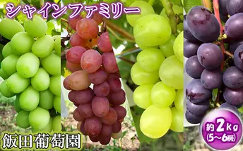 飯田葡萄園　シャインファミリー詰合せ　約2.0kg(5～6房)
