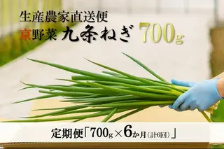 【6か月定期便】生産農家直送　京野菜・九条ねぎ  700g×6回