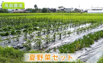 佐渡・高島農場の夏野菜セット【栽培期間中農薬不使用】