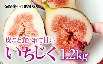 【皮ごと食べれて甘い】あかね農園「いちじく」約1.2kg