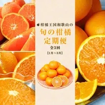 G60-T07_【定期便 全3回】旬の柑橘定期便 1～3月
