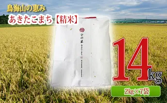 秋田県産 あきたこまち 精米 14kg（2kg×7袋）神宿る里の米「ひの米」（お米 小分け）