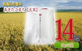 秋田県産 あきたこまち 玄米 14kg（2kg×7袋）神宿る里の米「ひの米」（お米 小分け）