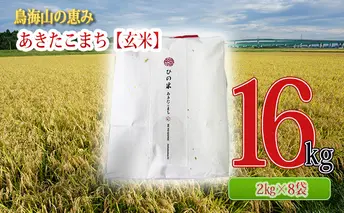 秋田県産 あきたこまち 玄米 16kg（2kg×8袋）神宿る里の米「ひの米」（お米 小分け）