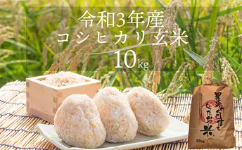 いちど食べてね!令和3年産ヤマニのコシヒカリ　玄米10kg