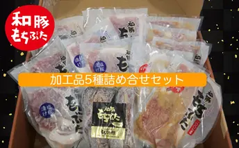 もちぶた 加工品 5種 詰め合わせ セット モモ 肩ロース 味噌漬け 塩麴漬け120g 3パック スペアリブ 300g 和豚 もち豚 豚肉 ポーク お肉 肉 豚 ぶた ブタ ロース もも肉 精肉 加工肉 アウトドア スペシャルキャンペーン 
