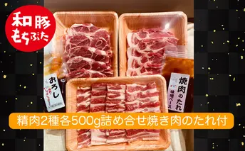 もちぶた 肩ロース 2種 500g 詰め合わせ セット 焼き肉のたれ付 ロース バラ ソテー 焼肉 焼肉のたれ おろし醤油 味噌 和豚 もち豚 豚肉 ポーク お肉 肉 豚 ぶた 豚ロース バラ肉 精肉 アウトドア スペシャルキャンペーン