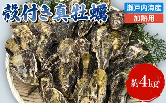 【2022年12月以降順次発送予定】旬にお届け！姫路産 1年牡蠣 殻付き真牡蠣（加熱用）約4kg