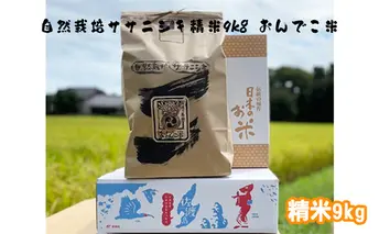 【令4年産】だるま庵農園の自然栽培ササニシキ精米9kg「おんでこ米」