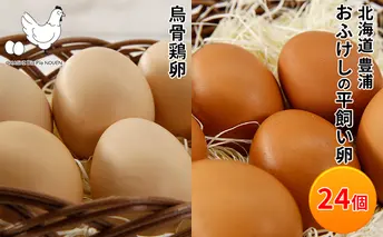 北海道 豊浦 おふけしの平飼い卵18個＋BioPio 烏骨鶏卵 6個【10月～12月出荷】