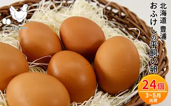 北海道 豊浦 おふけしの平飼い卵 24個【3月～5月出荷】