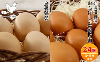 北海道 豊浦 おふけしの平飼い卵18個＋BioPio 烏骨鶏卵 6個【3月～5月出荷】