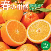 AN6108_農家直送 春の柑橘 詰め合わせセット 5kg (柑橘2～4種類 サイズ混合) 【2023年3月1日より順次発送】