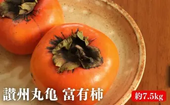 讃州丸亀 富有柿 約7.5kg