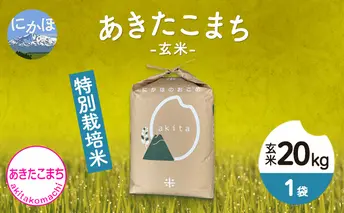 令和4年産 秋田県産 特別栽培米 あきたこまち20kg（20kg 1袋 玄米）