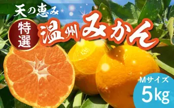 H6005_【2025年先行予約】天の恵み 温州みかん Mサイズ 特選 5kg