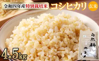 令和四年産特別栽培米コシヒカリ4.5kg 玄米