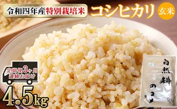 定期便3ヶ月連続お届け　令和四年産特別栽培米コシヒカリ4.5kg 玄米