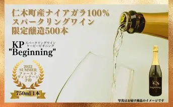 【北海道産ワイン】 限定スパークリングワイン KP”Beginning" 750ml×1本 仁木町産ナイアガラ100%使用 ワイン 白 辛口 スパークリング