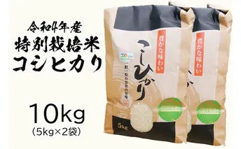 令和四年産特別栽培米　コシヒカリ　10kg