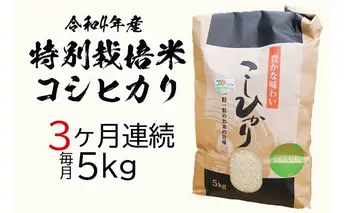 定期便3ヶ月連続お届け　令和四年産特別栽培米　コシヒカリ　5kg