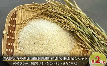 北海道洞爺湖町産 道の駅からお届け お米 食べ比べ 約8kg セット