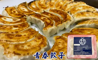 餃子専門店青春餃子のもちもち肉汁餃子15個入り×3パック