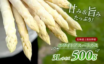 先行予約 【 2025年 発送 ！】 北海道 上富良野産 ホワイトアスパラガス 3L サイズ 500g アスパラ ホワイト アスパラガス 上富良野町 令和7年発送 野菜 やさい 
