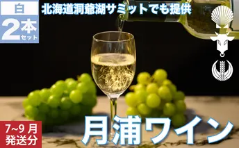 月浦ワイン 白750ml×2本 7月～9月配送［冷蔵］白ワイン お酒 アルコール ブドウ酒 フルーティ 家飲み 宅飲み お祝い 記念日 大切な日 