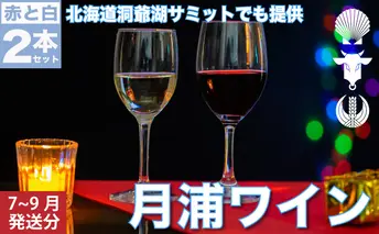 月浦ワイン2本セット（白・赤750ml）7月～9月配送［冷蔵］白・赤ワイン お酒 白ワイン アルコール ワインセット 飲み比べ フルーティ 深い味わい 家飲み 宅飲み お祝い 記念日 