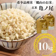 【希少品種米】自家採取　農薬不使用の亀ノ尾「郷山のお米」10kg（玄米）