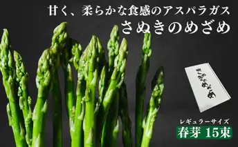 JA香川県 さぬきのめざめ（春芽・レギュラーサイズ）20束 アスパラ 期間限定
