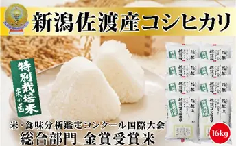 令和4年産食味鑑定コンクール金賞 新潟県佐渡産こしひかり（特別栽培米）16kg（2kg×8）