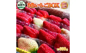 ≪ 農園直送 ≫ 高級品種３色いちごBOX　計600g程度