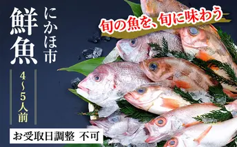 発送メールのみ 日本海の鮮魚詰め合わせ（4～5人前 下処理済み 切り身 魚介 セット）