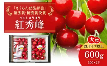 北海道 仁木町産「匠」ジャンボサイズ さくらんぼ 【 紅秀峰 】300g×2 嶋田茂農園