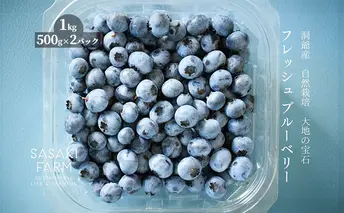 北海道 洞爺湖町産 フレッシュ ブルーベリー 500g 2パック 計1kg 8月1日～25日頃お届け 北海道産 ブルーベリー 果物 果実 フルーツ 新鮮 国産 ベリー 農作物 お取り寄せ 冷凍 長期 保存 送料無料
