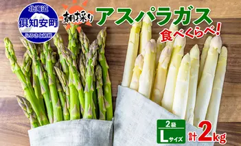 アスパラガス 北海道 グリーン AL ホワイト 2級品大・中 各1kg 食べ比べ セット 計2kg 春 限定 旬 朝採り 新鮮 野菜 アスパラ ギフト gift 産地直送 産直 お取り寄せ 詰め合わせ 送料無料			 