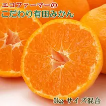 ZD92067_【2025年先行予約】エコファーマーのこだわり 有田みかん 5kg (サイズ混合・秀・優品)【数量限定】
